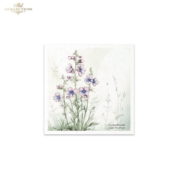Set de 6 Papiers de riz assortiment Meadow 15x15cm