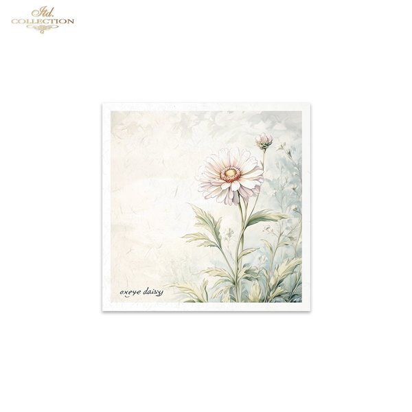 Set de 6 Papiers de riz assortiment Meadow 15x15cm
