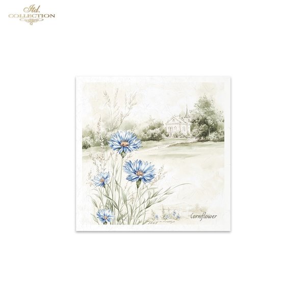 Set de 6 Papiers de riz assortiment Meadow 15x15cm