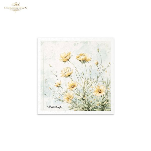 Set de 6 Papiers de riz assortiment Meadow 15x15cm