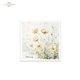 Set de 6 Papiers de riz assortiment Meadow 15x15cm