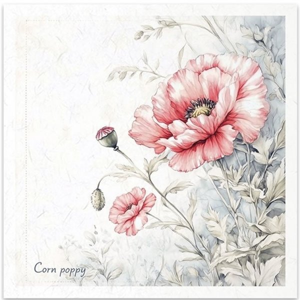 Set de 6 Papiers de riz assortiment Meadow 15x15cm