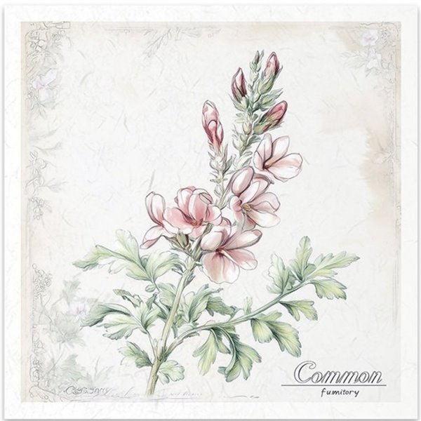 Set de 6 Papiers de riz assortiment Meadow 15x15cm