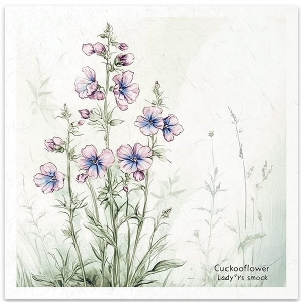Set de 6 Papiers de riz assortiment Meadow 15x15cm