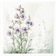 Set de 6 Papiers de riz assortiment Meadow 15x15cm