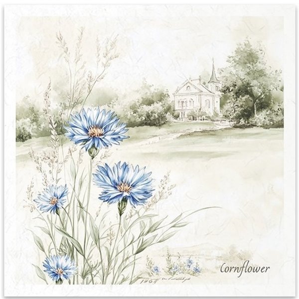 Set de 6 Papiers de riz assortiment Meadow 15x15cm