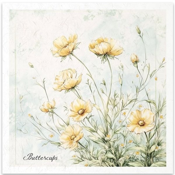 Set de 6 Papiers de riz assortiment Meadow 15x15cm