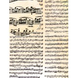 papier-nepalais-lokta-notes-de-musique-antiques-cartonnage-meuble-en-carton