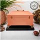 Peinture Dixie Belle orange Cottage Door Cottage Collection 473ml