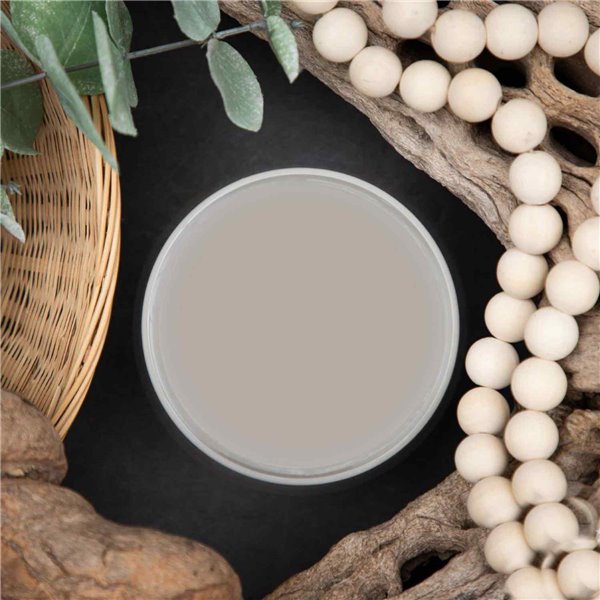 Peinture Dixie Belle gris Driftwood 16oz 473ml