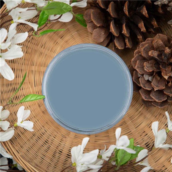 Peinture Dixie Belle bleu Dusty Blue 16oz 473ml