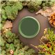 Peinture Dixie Belle vert English Ivy Cottage Collection 473ml