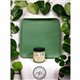Peinture Dixie Belle vert English Ivy Cottage Collection 473ml