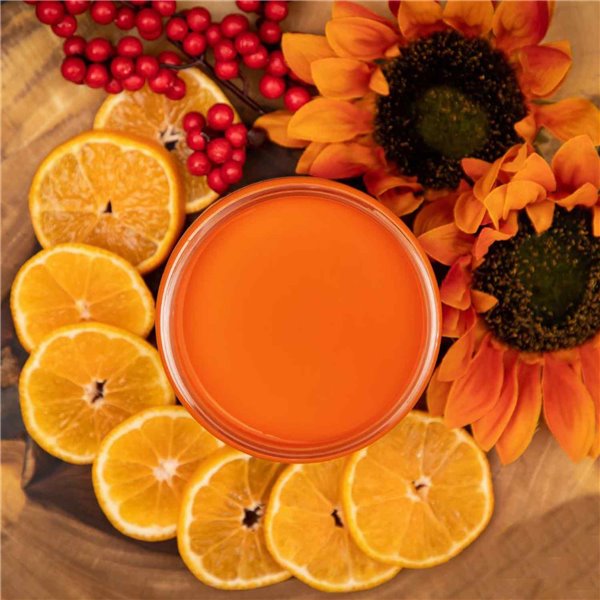 Peinture Dixie Belle orange Florida Orange 16oz 473ml