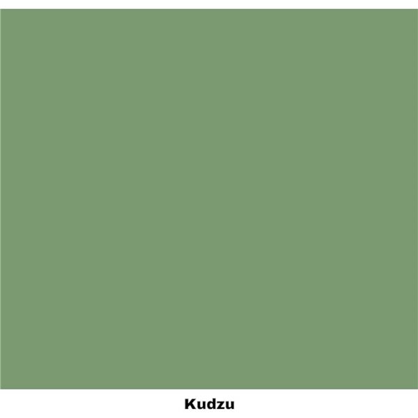 Peinture Dixie Belle vert Kudzu 16oz 473ml