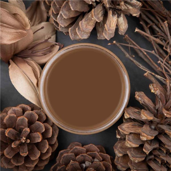 Peinture Dixie Belle marron Pine Cone 16oz 473ml