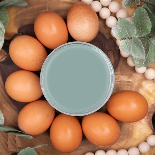 Peinture Dixie Belle bleu Vintage Duck Egg 16oz 473ml