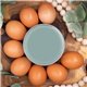 Peinture Dixie Belle bleu Vintage Duck Egg 16oz 473ml