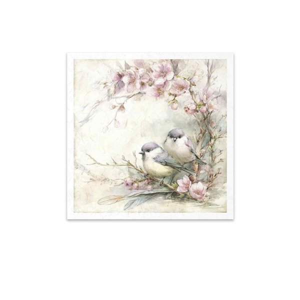 Assortiment papiers de riz x6 15x15cm oiseaux