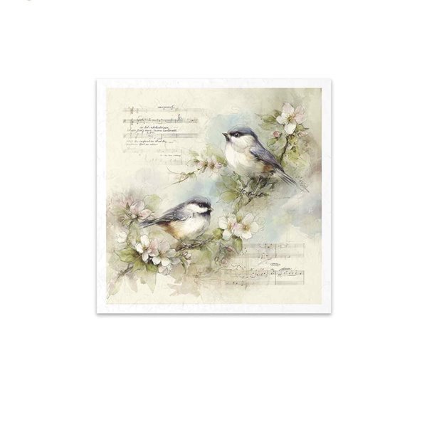 Assortiment papiers de riz x6 15x15cm oiseaux