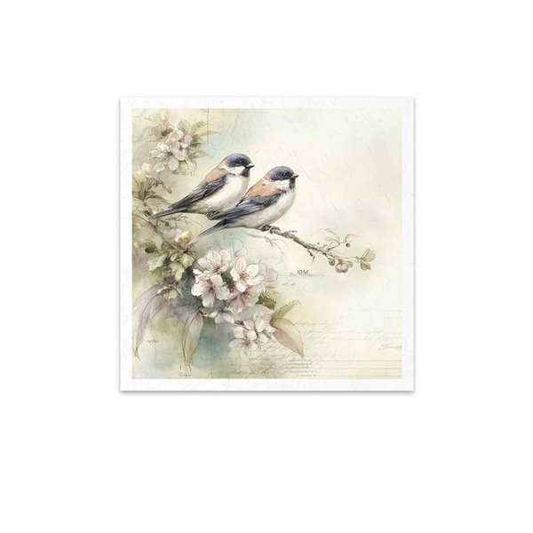 Assortiment papiers de riz x6 15x15cm oiseaux