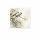 Assortiment papiers de riz x6 15x15cm oiseaux