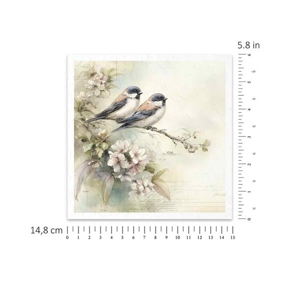Assortiment papiers de riz x6 15x15cm oiseaux