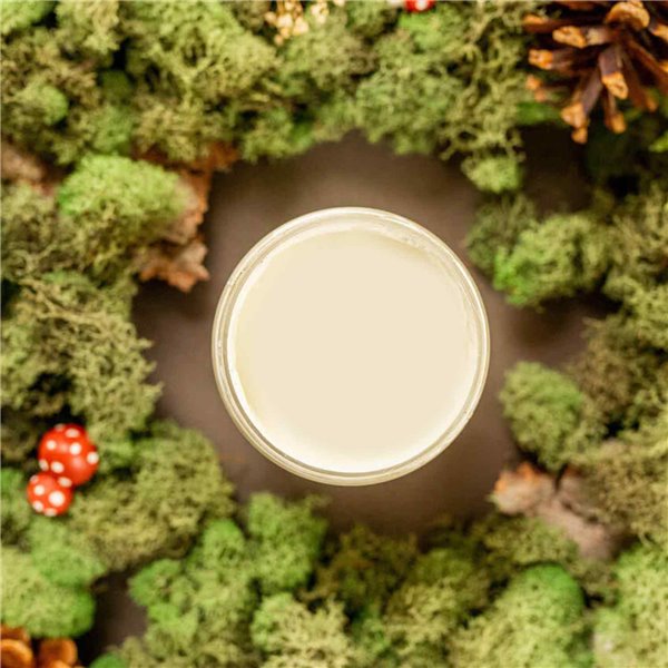 Peinture Dixie Belle vert Cucumber Ice Cottage Collection 118ml