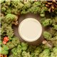 Peinture Dixie Belle vert Cucumber Ice Cottage Collection 118ml