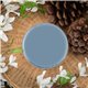 Peinture Dixie Belle bleu Dusty Blue 4oz 118ml