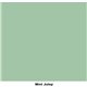 Peinture Dixie Belle vert Mint Julep 4oz 118ml
