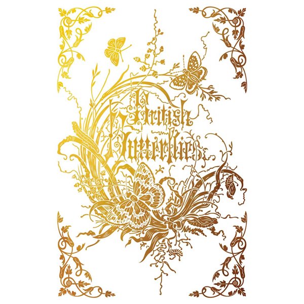 Transfert pelliculable IOD Athenaeum 8fe 20x30cm / SUR COMMANDE