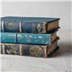 Transfert pelliculable IOD Athenaeum 8fe 20x30cm / SUR COMMANDE