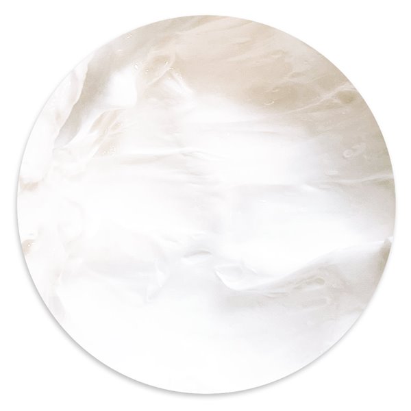 Gel de collage mat et transparent Stamperia 200ml