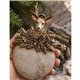 Moule silicone ReDesign Evergreen Antler Emblem 12.7x20.3cm