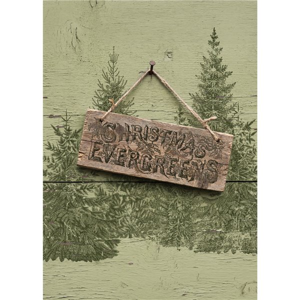Tampons IOD Winter Grove 30x30cm 5 pièces
