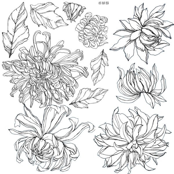 Tampons IOD plaque double Chrysanthemums 2 plaques 30x30cm 11 pièces