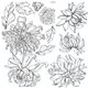 Tampons IOD plaque double Chrysanthemums 2 plaques 30x30cm 11 pièces