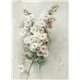 Papier de riz A4 magnifiques fleurs de pommier