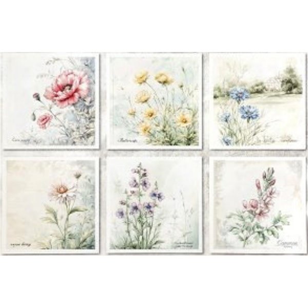 Assortiment papiers de riz x6 15x15cm fleurs coquelicots Meadow