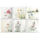 Assortiment papiers de riz x6 15x15cm fleurs coquelicots Meadow