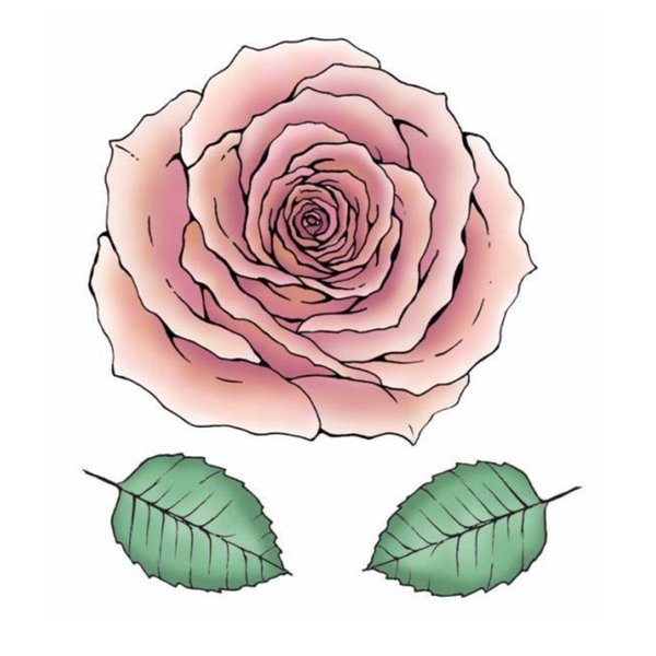 Tampon caoutchouc Taylored Expressions grande rose Big Blooms
