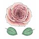Tampon caoutchouc Taylored Expressions grande rose Big Blooms