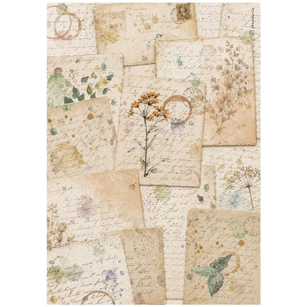 Papier de riz Stamperia Flowers and Poems botanic sheets A4