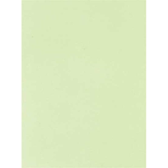 Pergamano feuille parchemin vert limon 61600 à l'unité Pergamano feuille parchemin vert limon 61600 à l'unité