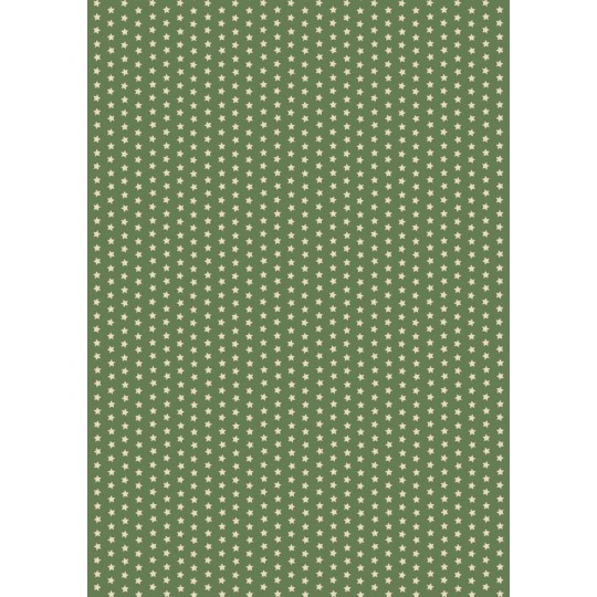 Pergamano feuille parchemin étoiles vert olive 61821 à l'unité Pergamano feuille parchemin étoiles vert olive 61821 à l'unité