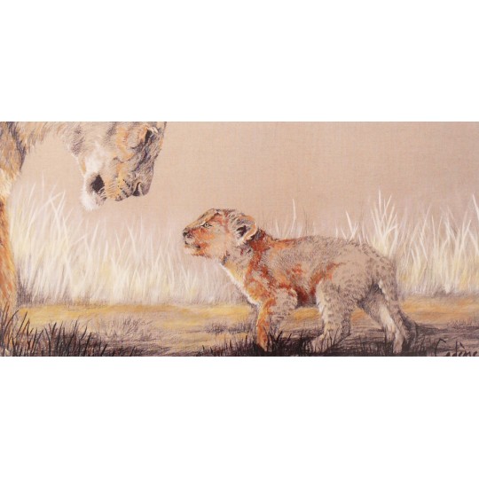 Carte postale lion bébé Florence Cadene lionceau Carte postale lion bébé Florence Cadene lionceau