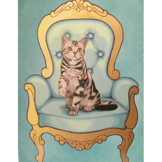 Carte postale chat Maryline Cazenave british short hair Carte postale chat Maryline Cazenave british short hair