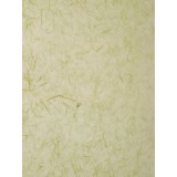 papier-murier-silk-vert-pale-61-papier-cartonnage-papier-meuble-en-carton