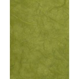 papier-murier-silk-vert-mousse-66-papier-fantaisie-cartonnage-meuble-en-carton